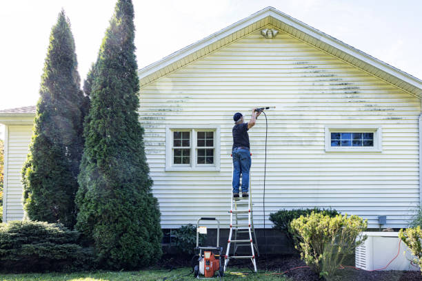 Reliable Roanoke Rapids, NC  Pressure Washing Solutions